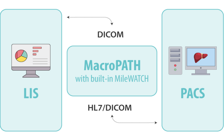 MacroPATH | Milestone Medical