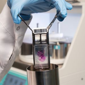 Slides are ready for coverslipping