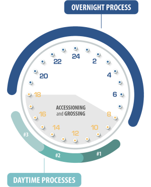LOGOS One EVO Parallel Processing