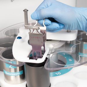 Heated fixation protocol