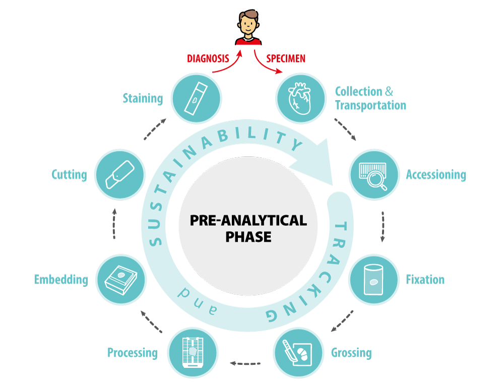 Milestone brand-new eBook