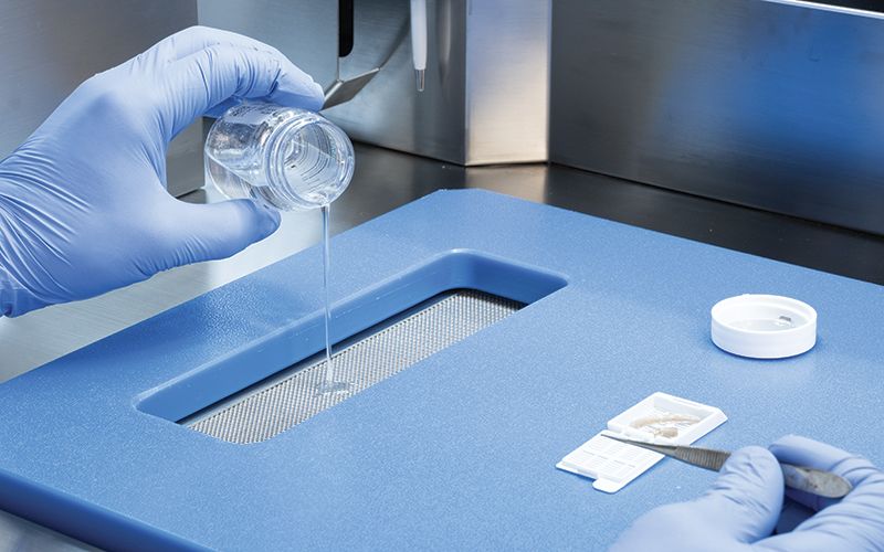 Optical Ergonomics - Step 2