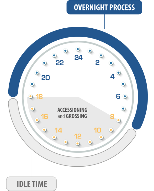 Traditional Tissue Processing Workflow
