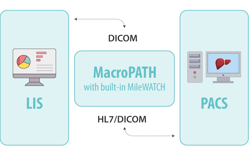 Full integration with LIS & PACS