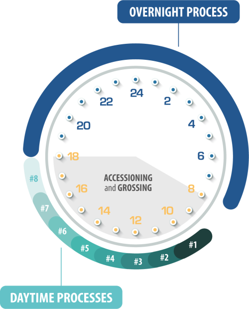 LOGOS EVO Tissue Processing Workflow