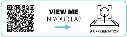 LOGOS EVO AR Presentation