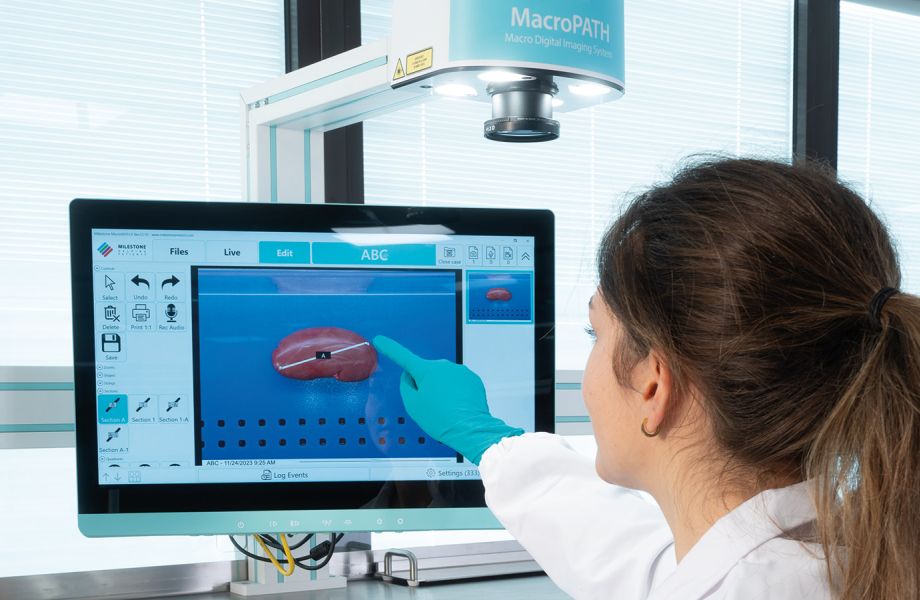 Macro Digital Documentation