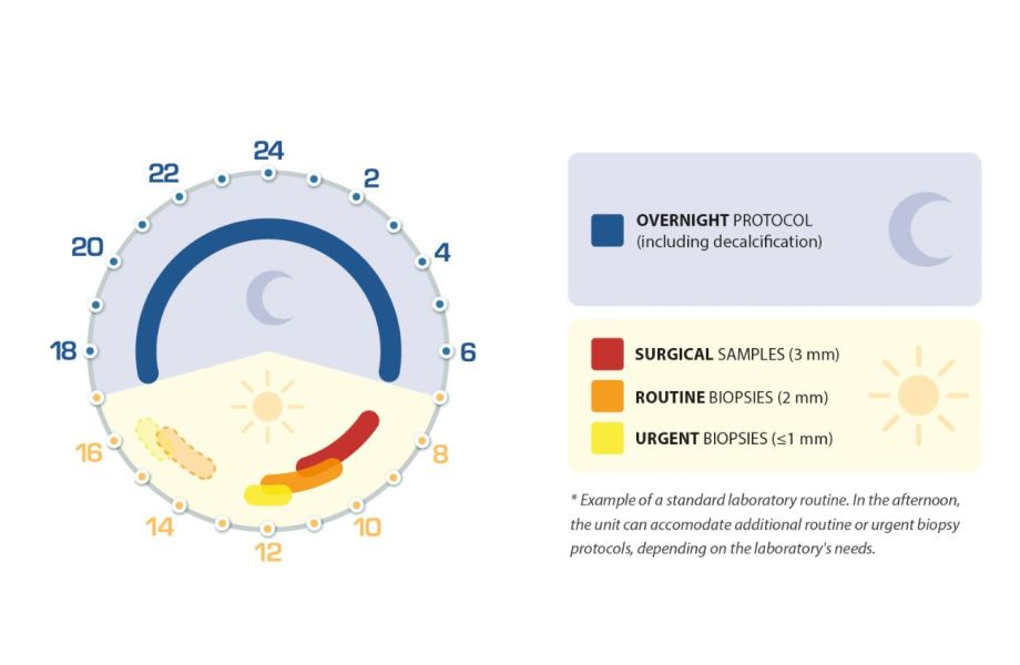 MAGNUS DECAL Maximum flexibility